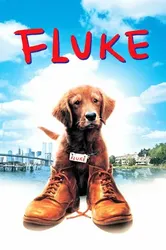 Chú Chó Fluke | Chú Chó Fluke (1995)