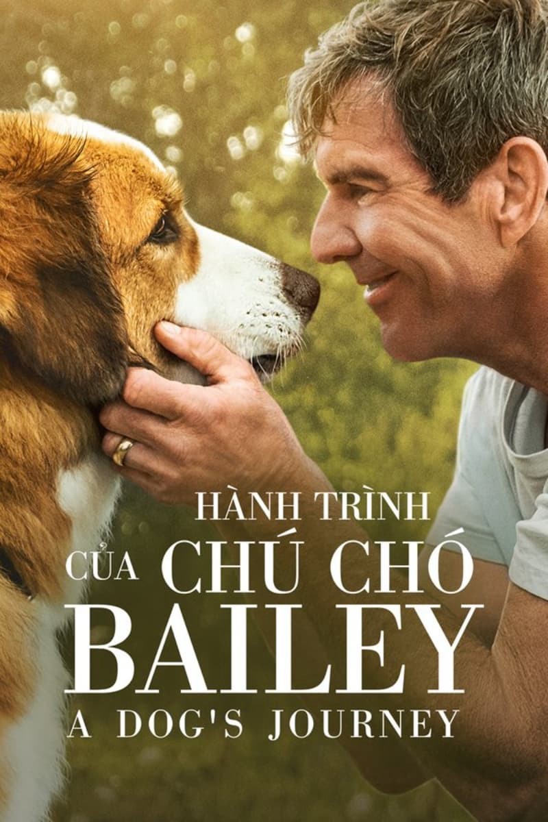 Hành Trình Của Chú Chó Bailey | Hành Trình Của Chú Chó Bailey (2019)