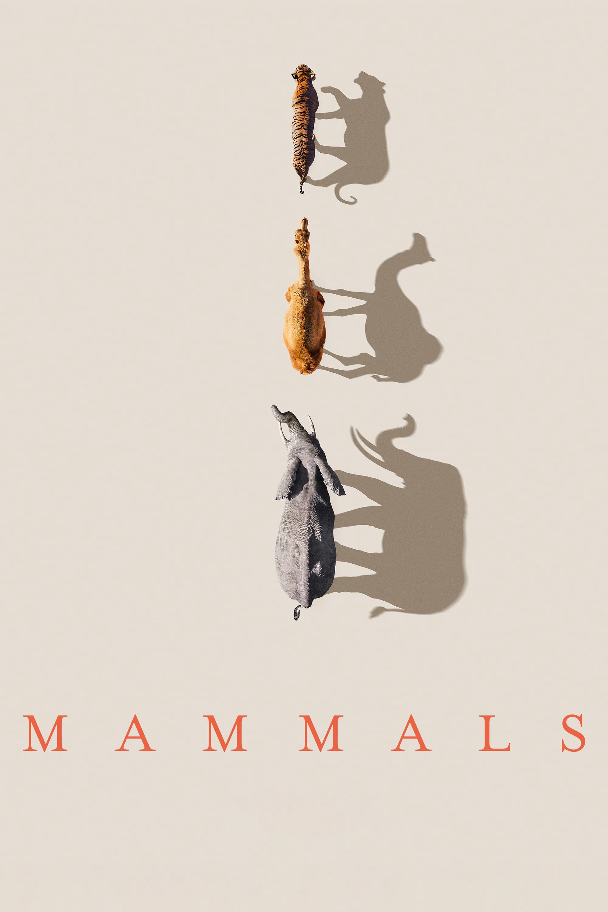 Mammals (2024) | Mammals (2024) (2024)