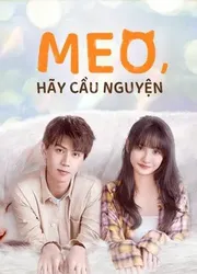 Meo, Hãy Cầu Nguyện | Meo, Hãy Cầu Nguyện (2021)